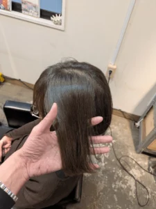 地毛アッシュの日本人の髪の毛